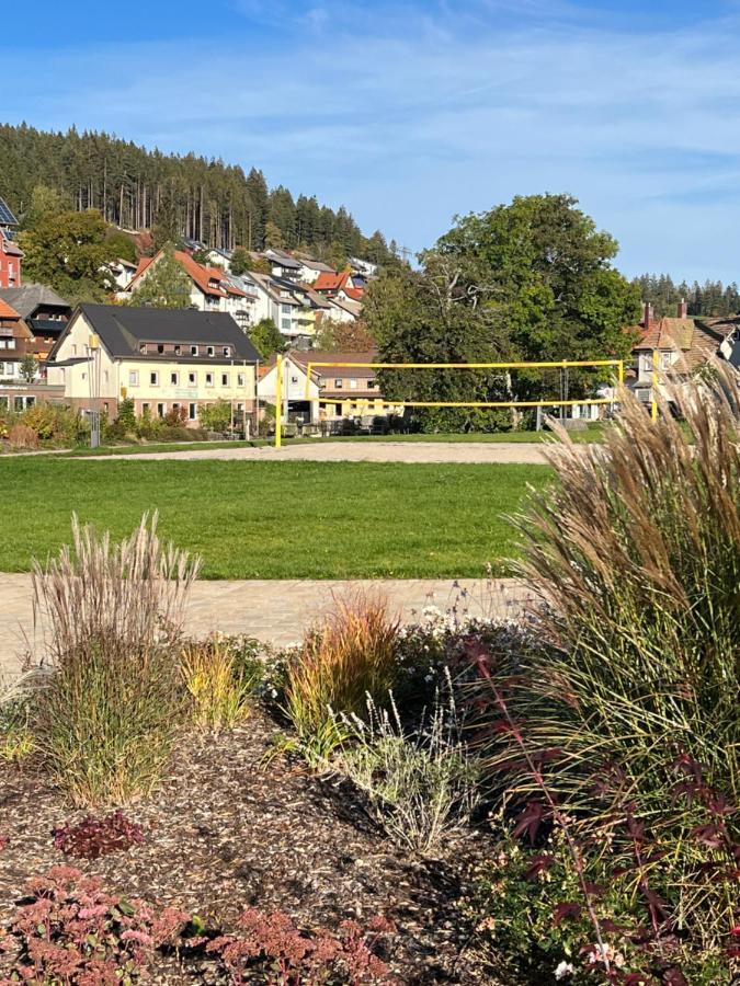 Apartment Annis Panoramablick Pool Sauna Tennis Schonach im Schwarzwald Exterior photo