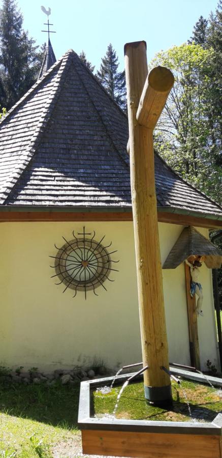 Apartment Annis Panoramablick Pool Sauna Tennis Schonach im Schwarzwald Exterior photo